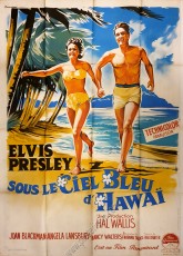 Sous le ciel bleu d'Hawaï