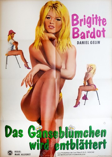 Das Gänseblümchen wird entblättert